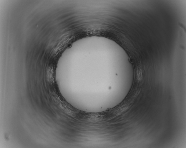 X0000103461060200809261835