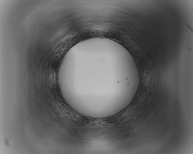 X0000103461061200809261835