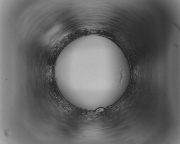 X0000103461062200809261835