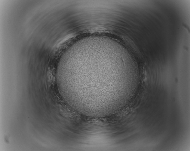 X0000103461063200809261835