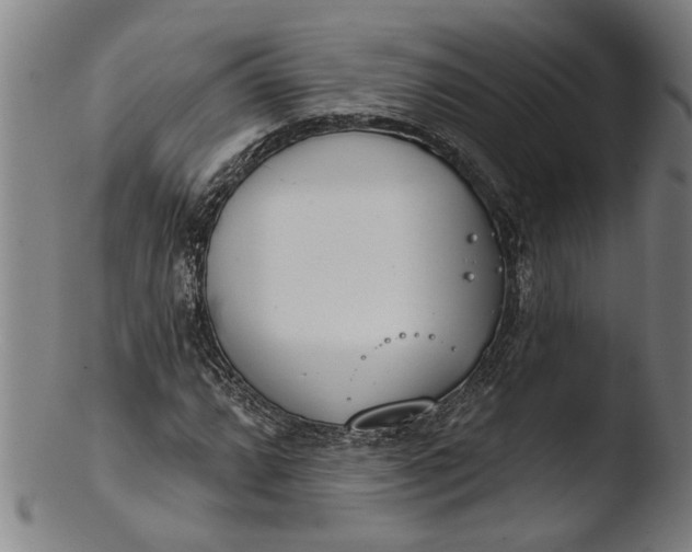 X0000103461064200809261835