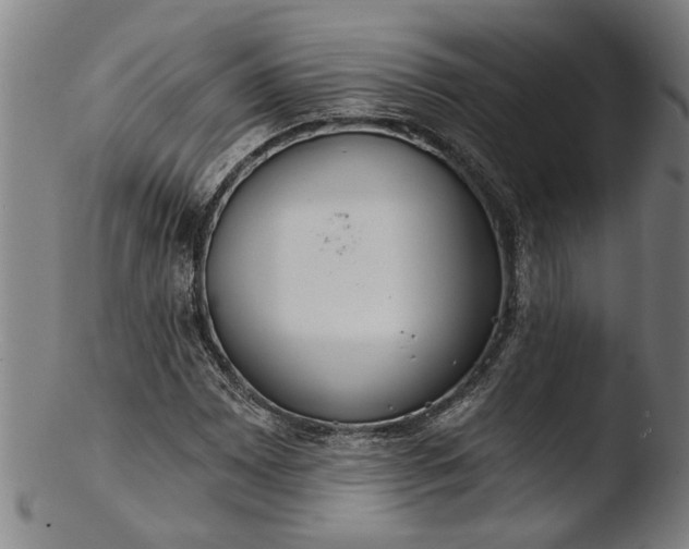 X0000103461065200809261835