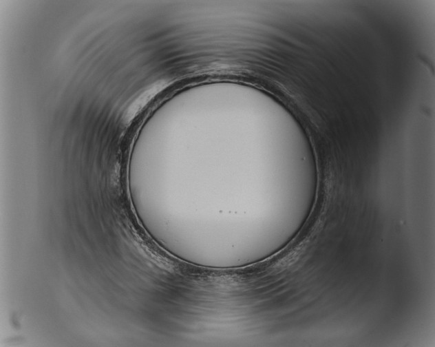 X0000103461066200809261835