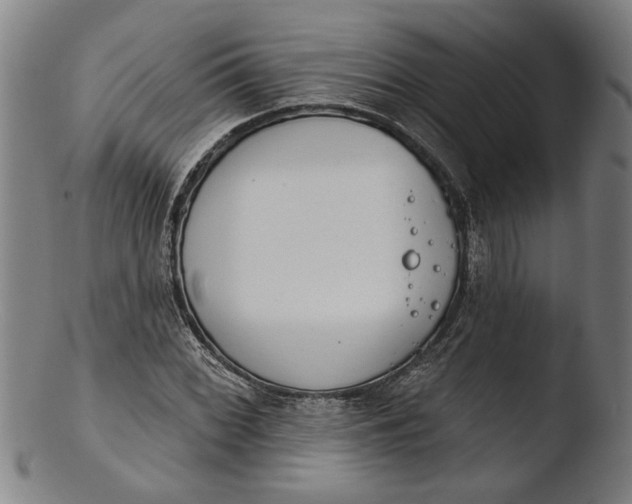 X0000103461068200809261835