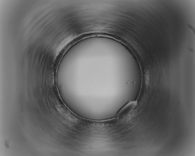 X0000103461069200809261835