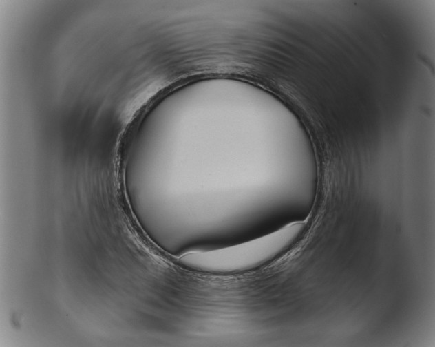 X0000103461071200809261835