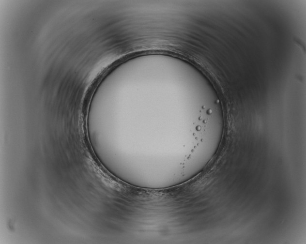 X0000103461072200809261835