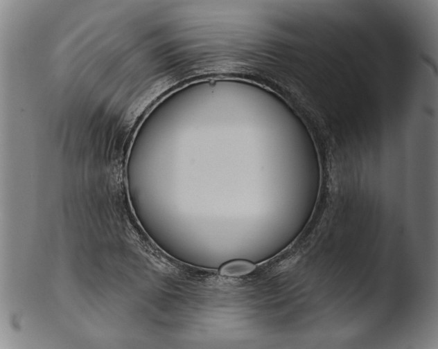 X0000103461073200809261835