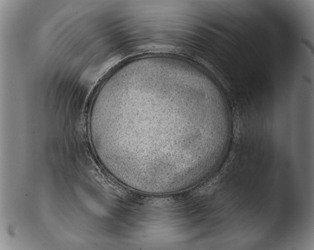 X0000103461074200809261835