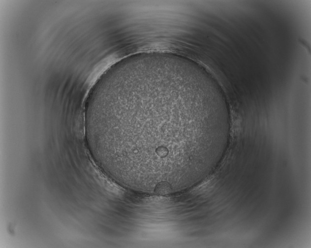 X0000103461075200809261835