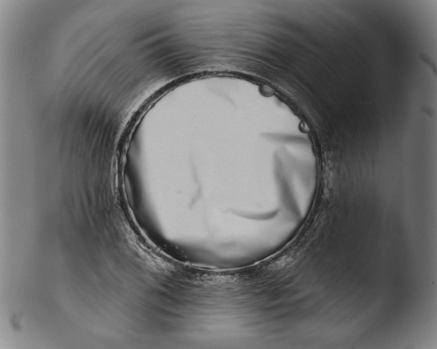 X0000103461076200809261835