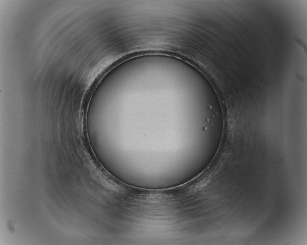 X0000103461077200809261835