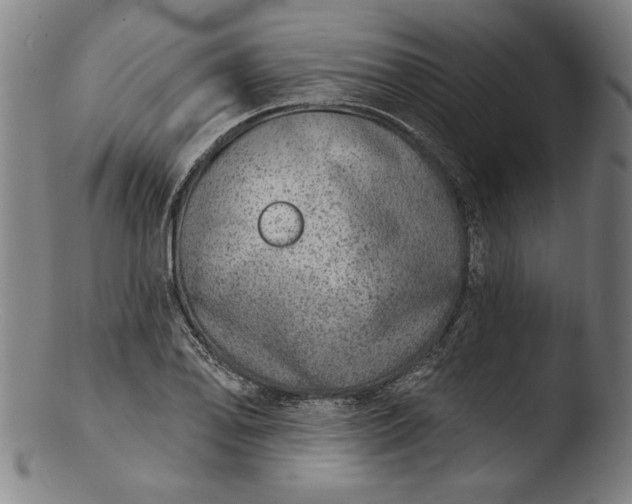 X0000103461078200809261835