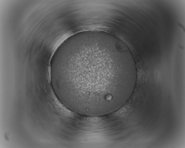 X0000103461079200809261835