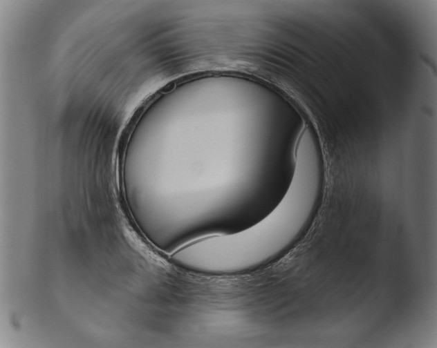 X0000103461080200809261835