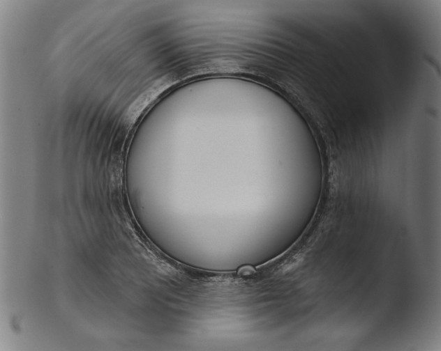 X0000103461081200809261835