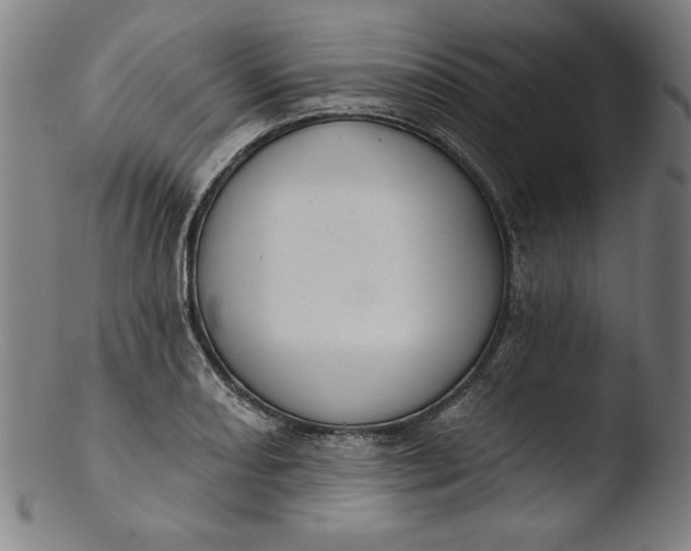 X0000103461082200809261835