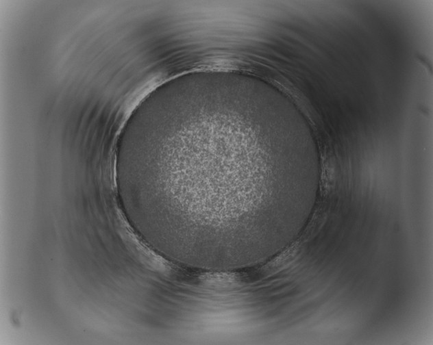 X0000103461083200809261835