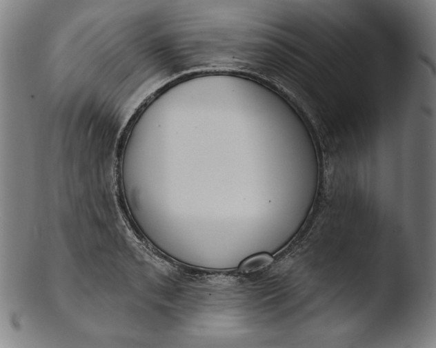 X0000103461085200809261835