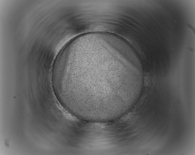 X0000103461086200809261835