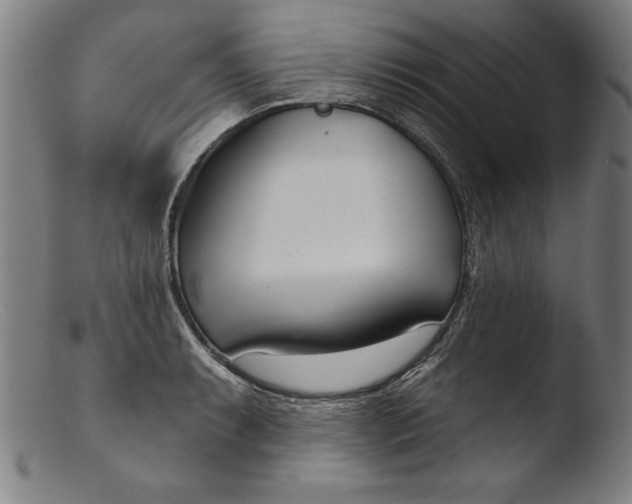 X0000103461087200809261835