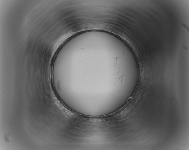 X0000103461088200809261835