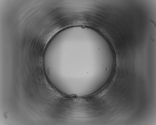 X0000103461089200809261835