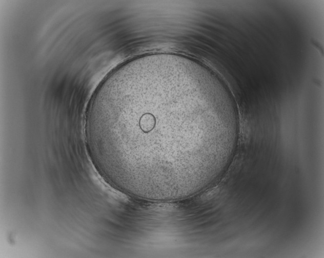 X0000103461090200809261835