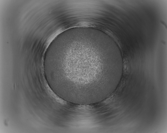 X0000103461091200809261835