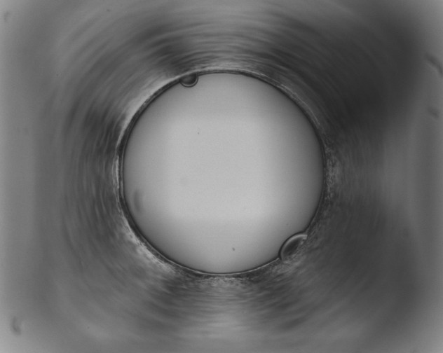 X0000103461092200809261835