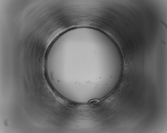 X0000103461093200809261835