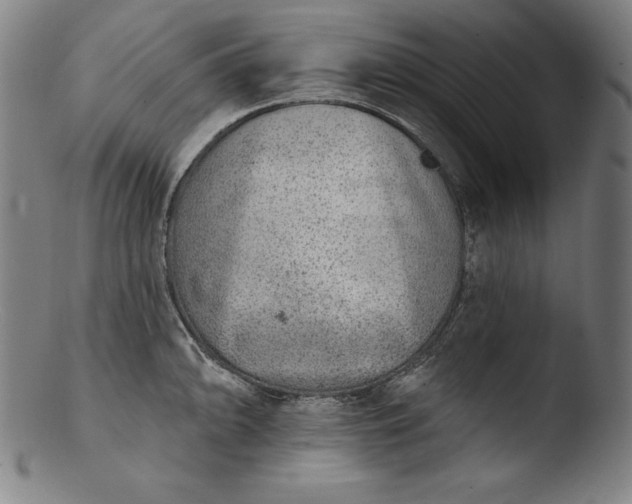 X0000103461094200809261835