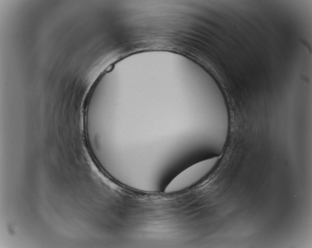 X0000103461095200809261835