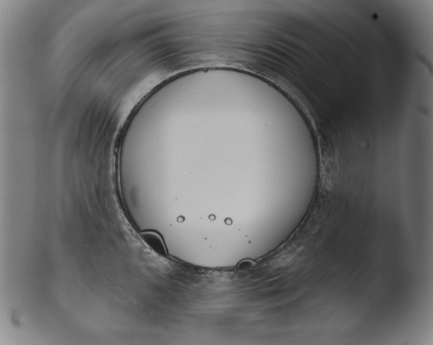 X0000103461096200809261835