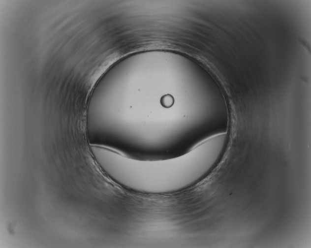 X0000103461097200809261835