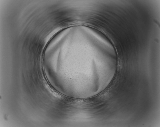 X0000103461098200809261835