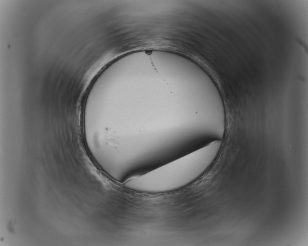 X0000103461099200809261834