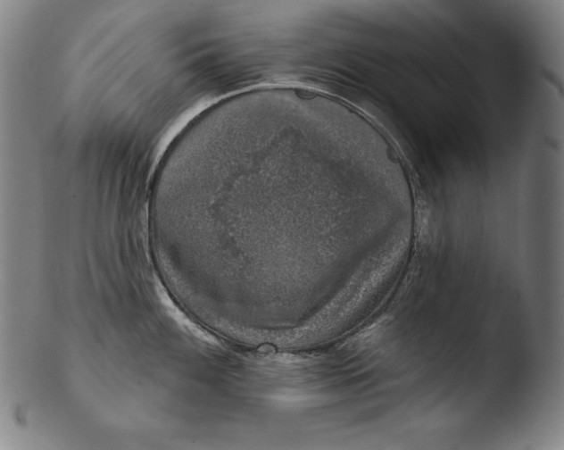 X0000103461100200809261834