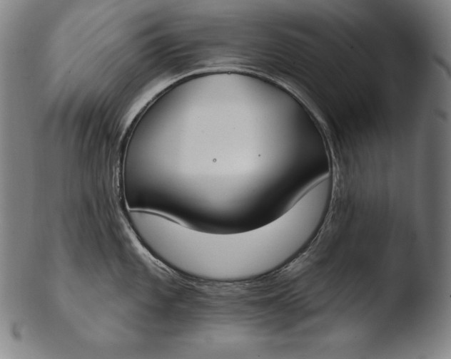 X0000103461101200809261834