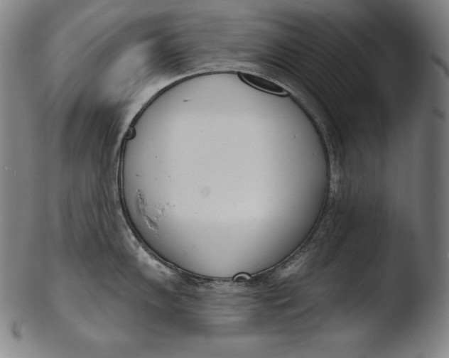 X0000103461102200809261834