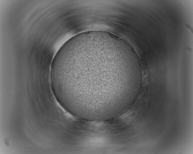 X0000103461103200809261834