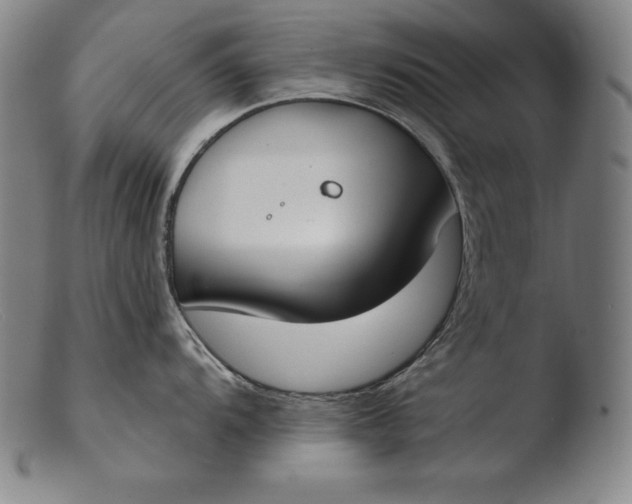 X0000103461104200809261834