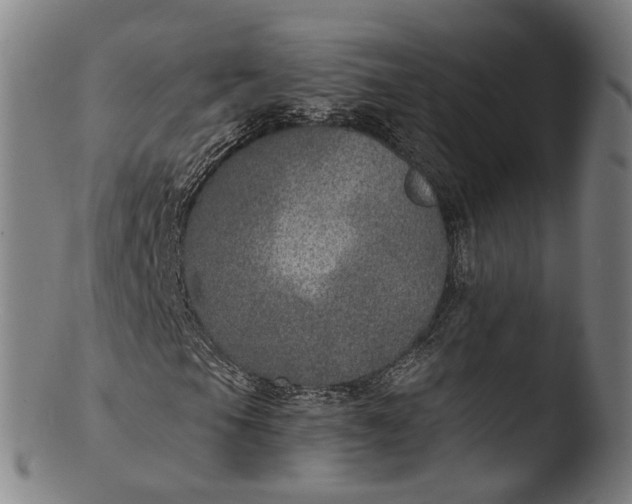 X0000103461105200809261834