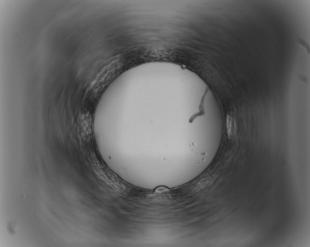 X0000103461107200809261834