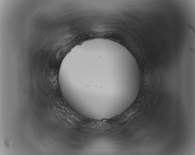 X0000103461109200809261834