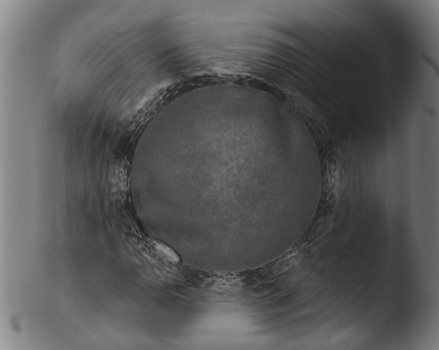 X0000103461110200809261834