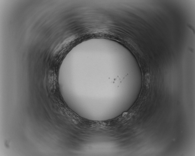 X0000103461111200809261834