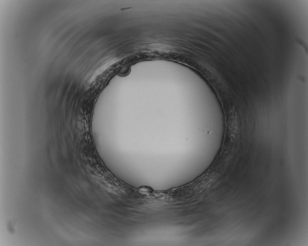 X0000103461112200809261834