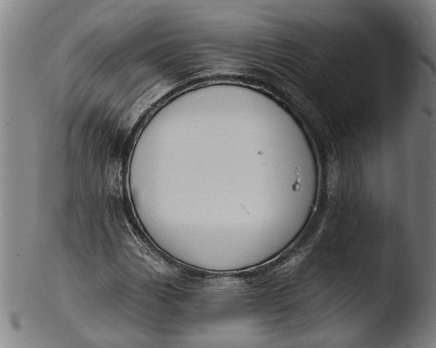 X0000103461113200809261834