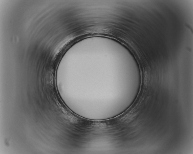 X0000103461115200809261834